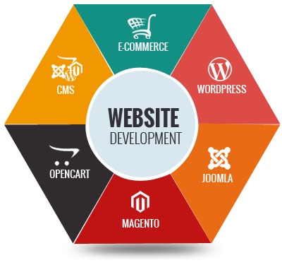 custom web development services 